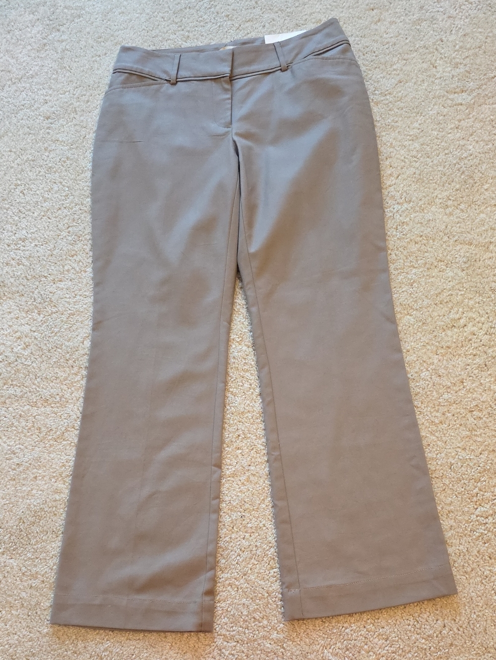 Ann Taylor Loft Curvy Pants Womens Size 6 Taupe - Picture 3 of 12